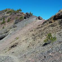 Approaching Mount Bailey summit - note last trees