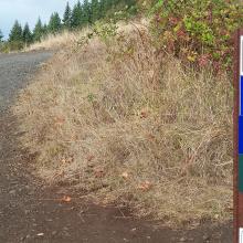 Another trail marker