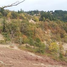 The summit from the trail