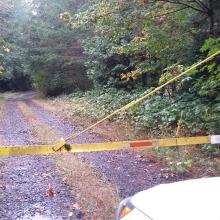 Gate for Wards Butte