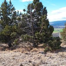 There's an antenna in this photo