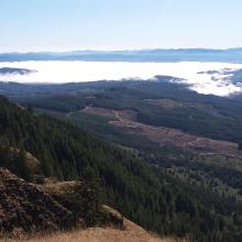Inland clouds as seen from Saddle Mtn hike