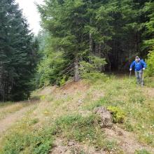 Cat track leading to the summit