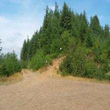 Motorcycle trail leading to the summit of 2814