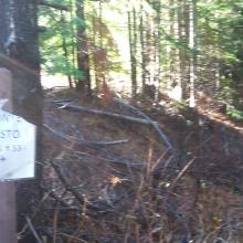 Another Monte Cristo Trail sign