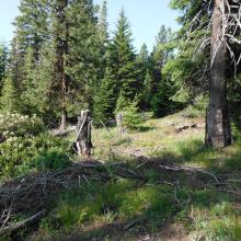 Fence line leading to summit