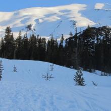 On the trail - Mount St. Helens from about 5500 feet