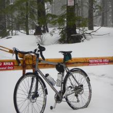 Laurel Mountain Gate