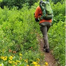 MC-061 Silly Useless Sign