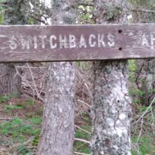 MC-061 Silly Useless Sign