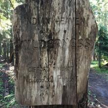 Sawtooth - Indian Heaven Wilderness Sign