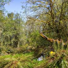 Summit Activation Area