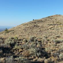 Summit of Pine Benchmark