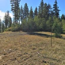 The Parking and Operating Area