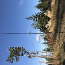 Buddistick at the Summit