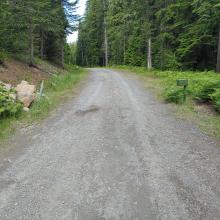 Old "trailhead"