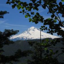 Mt. Hood