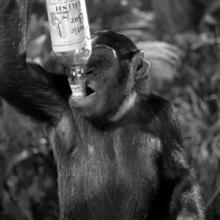 K7MAS fortifying with "liquid refreshment" on Great Tarzan Traverse