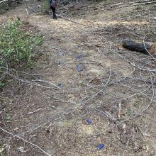 More shell casings...not a great way to end the trip!