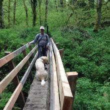 Bridge across Crystal Creek..."which way are we going, Dad?"