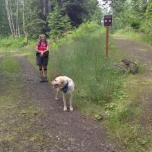 The turn off from South Tiger Traverse Trail to summit climb