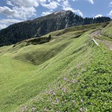 Approaching summit formation.