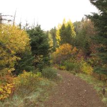Beverly Creek Trail, Fall Colors
