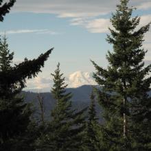 First view of Mount Ranier from trail