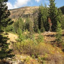 1,800 feet of climbing to Earl Peak from crossing of Bean Creek