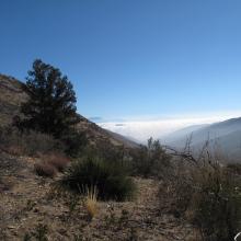 Clouds and fog in lowlands south and east of Circle Mountain