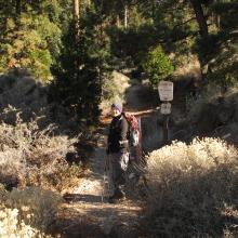 Mount Williamson Trailhead