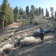 Kratka Ridge Ski Area - Bare Slopes, 02/19/2015