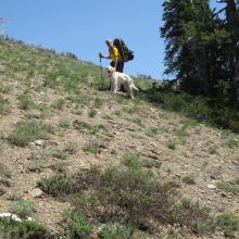 More XC terrain between lower and upper trails