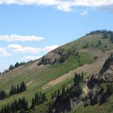 Look back at Norse peak, with mountain goats on lower left slope.