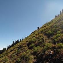 Open NW slope of Tahtlum Peak