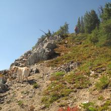 Final pitches up Tahtlum Peak