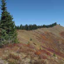 Final ridge traverse to summit...amid fall colors