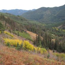 Descending down into Knox Creek Basin, and trail head.
