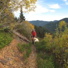 Fall colors in Knox Creek Basin, October 11, 2015