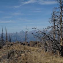 Burned summit of Mount Lillian South.  Mount Stuart in the center distance.