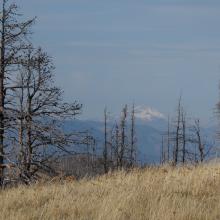 Glacier Peak in the center distance from near summit of Mount Lillian South.
