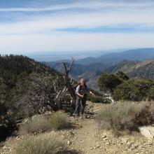 Nearing summit of Telegraph Peak, 8,985 feet