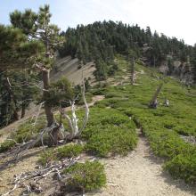 Telegraph - Timber Col, looking towards Timber Mountain