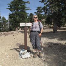 Junction: Three Tee's Trail to timber Mountain Summit Trail.