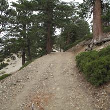 Beginning of the "trail" to San Gabriel.