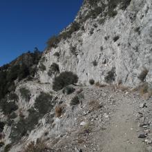 Trail towards Mueller Tunnel, San Gabriel Peak.