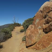 Weathered Igneous Rock, containing Iron, on Stonewall Peak Trail.