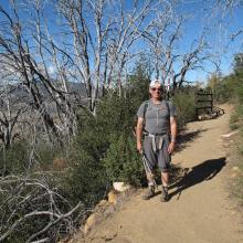 The "Whitch Trees of November".
