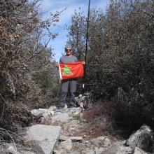 Summit area, showing scrub threes & brush and antenna support mound I created