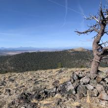 Summit of Pine Mountain, with Pine Benchmark nearby, behind, and Three Sisters and Bachelor in the distance.